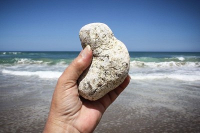 Cục đá nhìn tầm thường này được bán với giá 330 triệu/kg và đây là lý do đằng sau