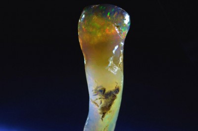 Ngọc mắt mèo nghi chứa xác côn trùng 7 triệu năm