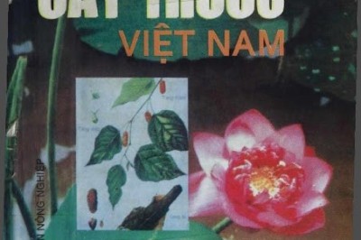 Cây thuốc việt nam, cách trồng, thu hái chế biến và phương pháp trị bệnh ban đầu của Tác giả Lương Y Lê Trần Đức