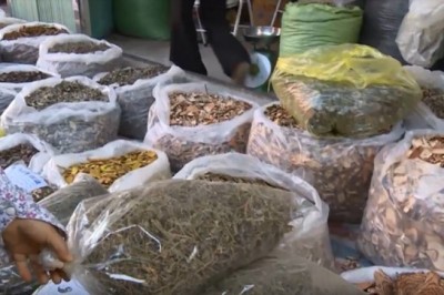 Những điều kiện cần để được cấp giấy phép kinh doanh dược liệu