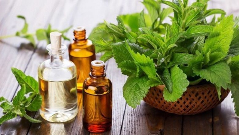 Tác dụng và cách dùng tinh dầu bạc hà