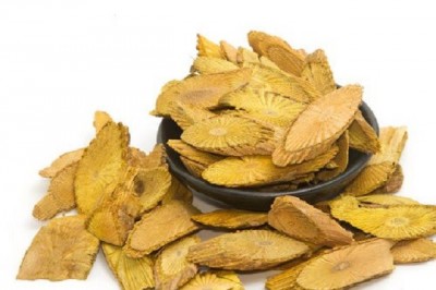 Cây Dây nam hoàng, Vàng giang hay Hoàng đằng - Fibraurea recisa Pierre