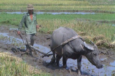 4 sai lầm tiền bạc thường thấy khiến bạn mãi không giàu lên nổi ai nghèo đọc cũng thấy đúng