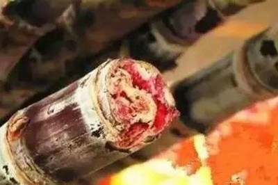 Người phụ nữ tử vong sau khi ăn mía, có dấu hiệu này ở cây mía chẳng khác gì độc dược