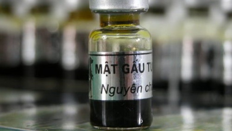 Rượu mật gấu và ngâm rượu chữa bệnh