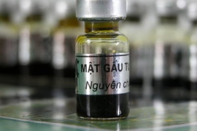 Rượu mật gấu và ngâm rượu chữa bệnh