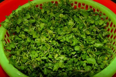 Cách làm món canh ngọt mát từ cải xoong nấu tôm tươi