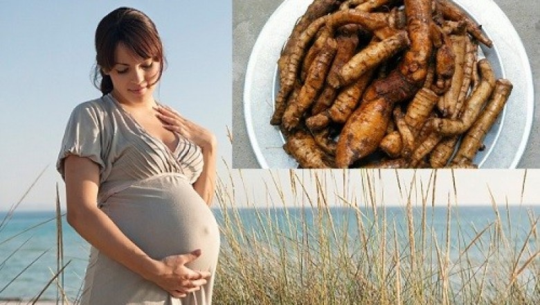 Cây Lá Gai, cây gai và những bài thuốc chữa bệnh