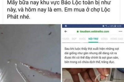 Đăng tin sai sự thật về thịt lợn nhiễm sán, bị phạt 10 triệu đồng
