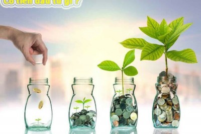 Năm 2019, nên đầu tư gì để sinh lời cao nhất, đọc bài này bạn sẽ có ý tưởng đầu tư