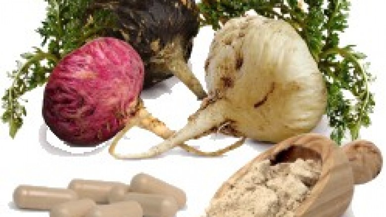 Nhân sâm Peru hayMaca peru - Lepidium meyenii