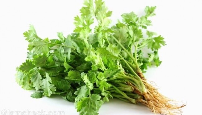 Rau mùi tươi giúp sản phụ sau sinh tăng tiết sữa, lợi sữa