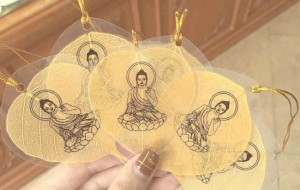 Vì sao chúng ta luôn làm tổn thương những người mình yêu mến