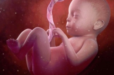 Quan điểm của Phật giáo về vấn đề nạo phá thai