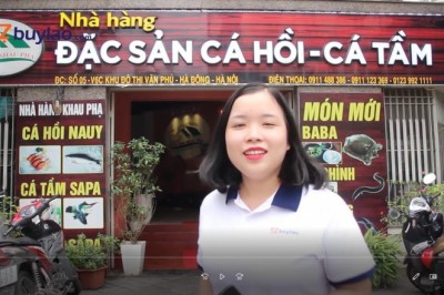 Cá hồi, ăn cá hồi ở đâu ngon, cá hồi tươi sống sạch