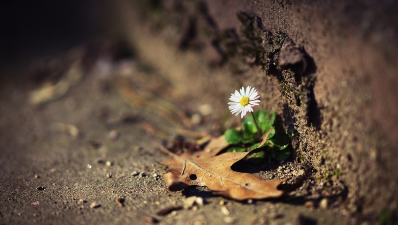 Năm mới, hãy tập chăm sóc thân tâm...