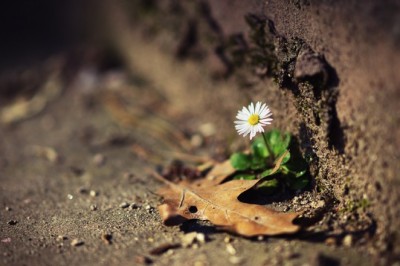 Năm mới, hãy tập chăm sóc thân tâm...