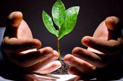 Quy luật nhân quả ở góc độ sức khỏe