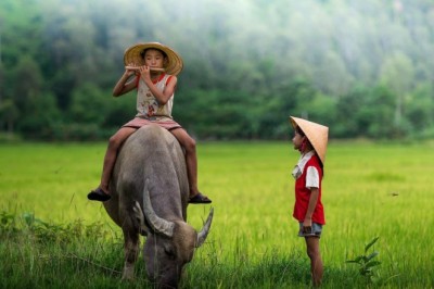 Suy nghiệm lời Phật: Giữ tâm như chăn trâu