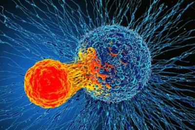 Phát hiện cơ chế miễn dịch ‘có thể điều trị mọi loại ung thư’