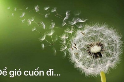 Không giận không oán sẽ không đau khổ