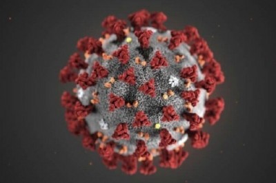 Các nhà khoa học khám phá ra bí mật lây nhiễm của coronavirus