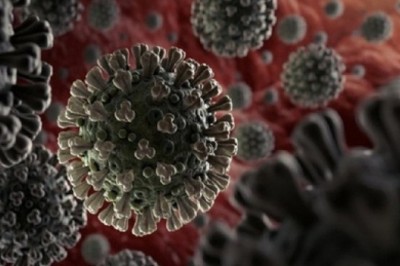 Vì sao người hồi phục có thể tái nhiễm nCoV?