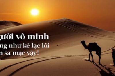 Vô minh là gì mà có khả năng mãnh liệt như thế?