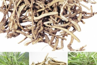 Bài thuốc quý phòng trị COVID -19