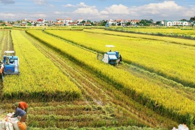 Tiêu chuẩn an toàn giúp cộng đồng nông nghiệp canh tác