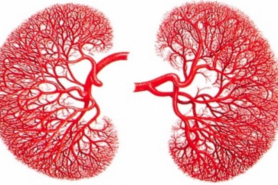 Nam giới thận khỏe thường có 5 đặc điểm, nếu thiếu thì bạn nên cấp tốc làm 3 việc