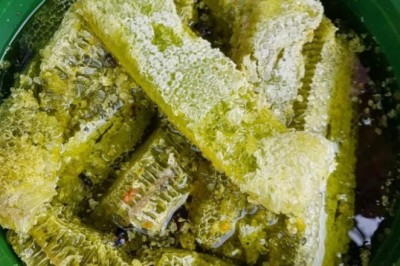 Tác dụng không thể ngờ của mật ong khi chữa nhiễm trùng đường hô hấp