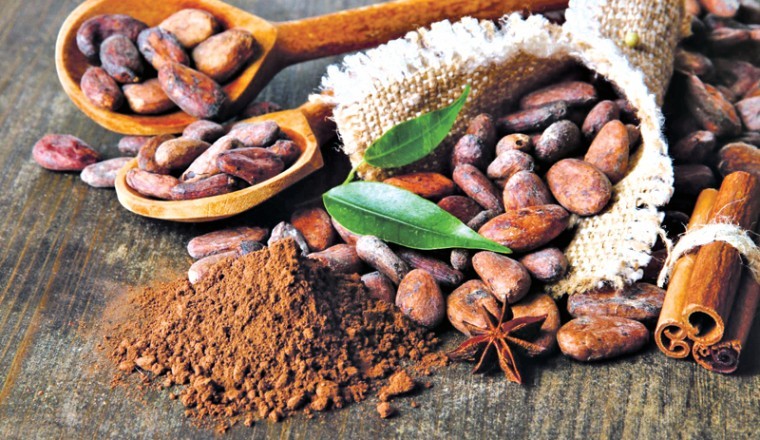 Phát hiện flavanols có khả năng chống béo phì