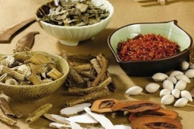 Top 5 cây thuốc nam hỗ trợ điều trị bệnh tim mạch hiệu quả nhất hiện nay