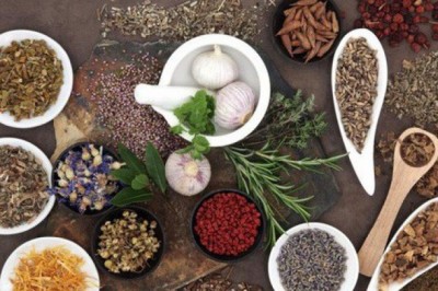 5 bài thuốc Đông y hỗ trợ điều trị đẩy lùi bệnh ung thư thực quản