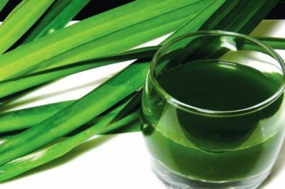 Lá dứa và những bài thuốc dân gian chữa bệnh hiệu quả ít ai biết đến