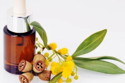 Những nguy hiểm khó lường khi dùng tinh dầu khuynh diệp không đúng cách