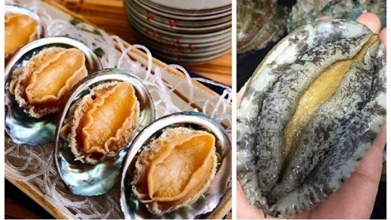 Bài thuốc trị đau đầu, chóng mặt hiệu quả từ vỏ bào ngư (thạch quyết minh)