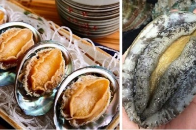 Bài thuốc trị đau đầu, chóng mặt hiệu quả từ vỏ bào ngư (thạch quyết minh)