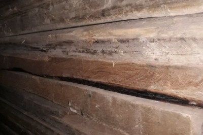 Gỗ ngọc am, Hoàng đàn rủ loại gỗ biểu tượng tâm linh và sức khỏe mua ngọc am ở đâu uy tín