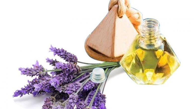 Những mùi hương tự nhiên giúp bạn cải thiện tâm trạng và hiệu suất làm việc