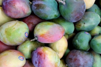 Xuất khẩu nông sản: Xoài dẫn đầu danh sách hoa quả nhập khẩu vào Hoa Kỳ