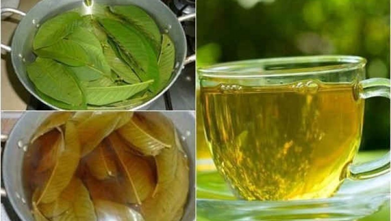 Những công dụng tuyệt vời của nước lá ổi mà không phải ai cũng biết