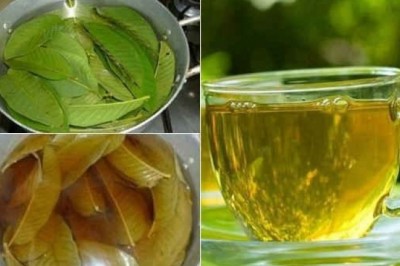 Những công dụng tuyệt vời của nước lá ổi mà không phải ai cũng biết