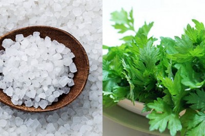 Bí quyết chữa đau vai gáy cực hiệu quả từ muối hạt và ngải cứu