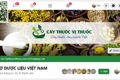 Quy định và nội quy: Tham gia mua bán chuyên ngành Y dược học tại Chợ dược liệu Việt Nam