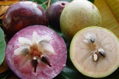 Những lợi ích tuyệt vời khi bà bầu ăn vú sữa