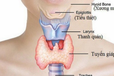 8 nguyên nhân gây ra bệnh về tuyến giáp