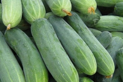 9 tác hại của dưa leo mà bạn chưa từng biết