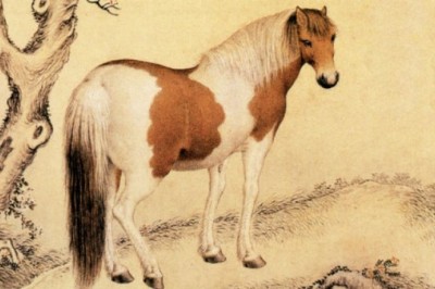 Tử vị người tuổi Ngọ năm 2021 gồm các năm 1930, 1942, 1954, 1966, 1978, 1990, 2002, 2014